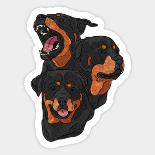 Rottweiler Heads Sticker